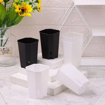 Plastics Side Hole Flower Pot Octagonal Square Pots Wholesale Succulent Flower Pots Resin Succulents Vientiane Pots Transparent